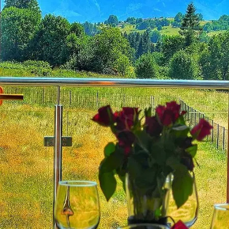 Daire Widok Tatr Zakopane