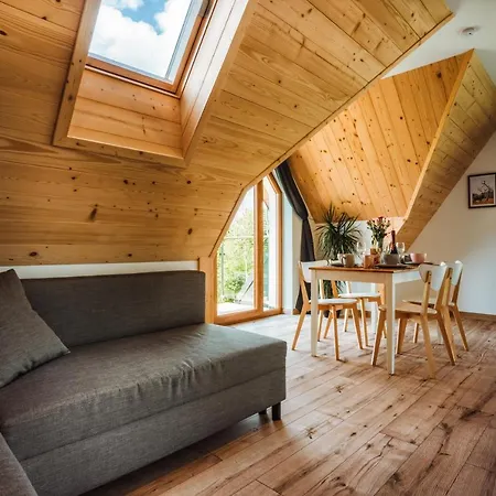 Widok Tatr * Zakopane